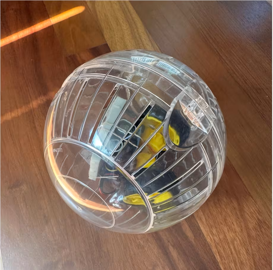 A clear plastic ball on a wooden floor, with yellow and black electronics, wiring and a small circuit board visible inside