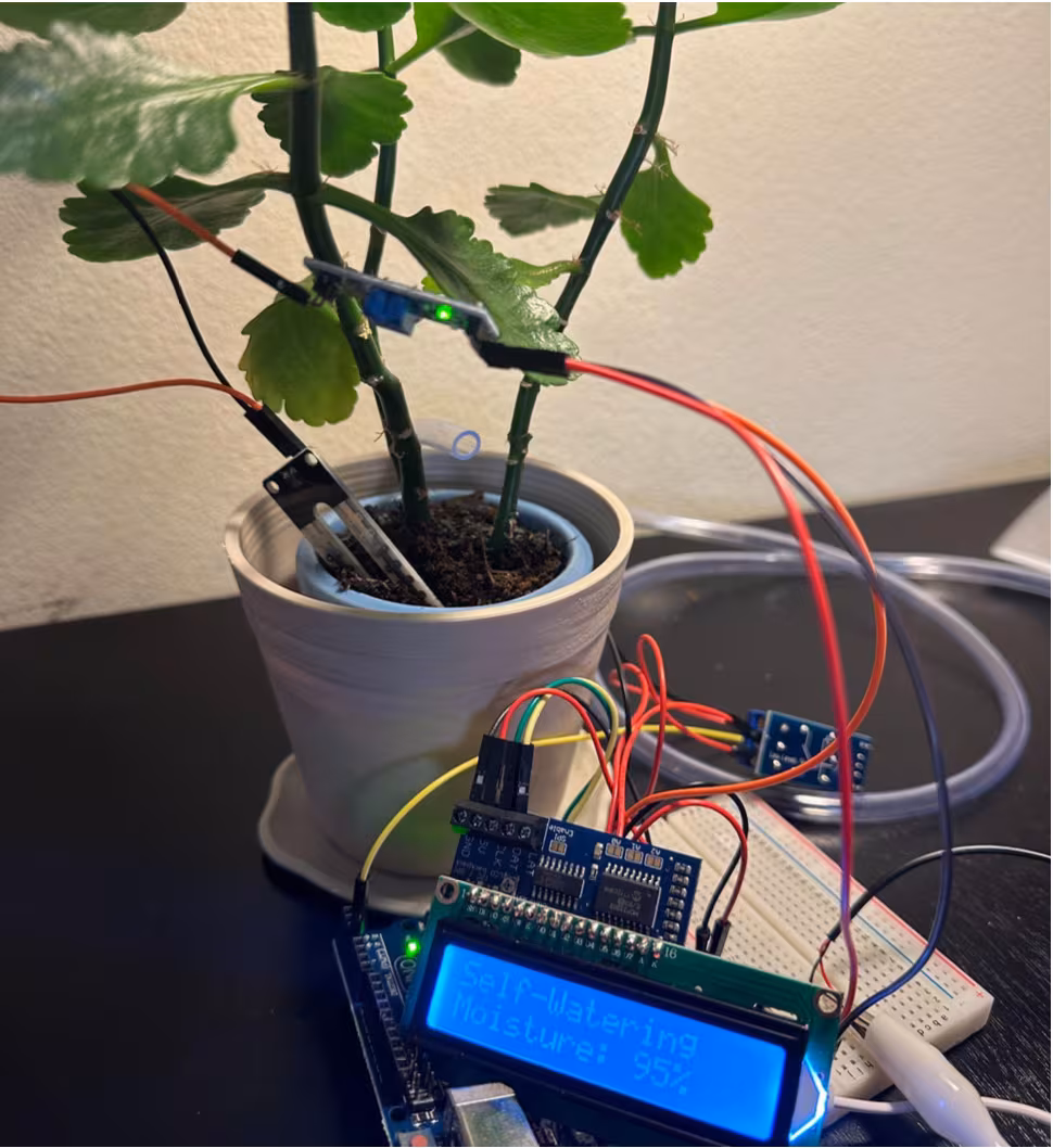 A potted plant with a moisture probe in the soil, wired to a breadboard, pump tubing and an LCD screen reading Self-Watering, Moisture 95 per cent